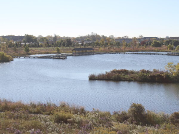 Pond with wooden paths and docs