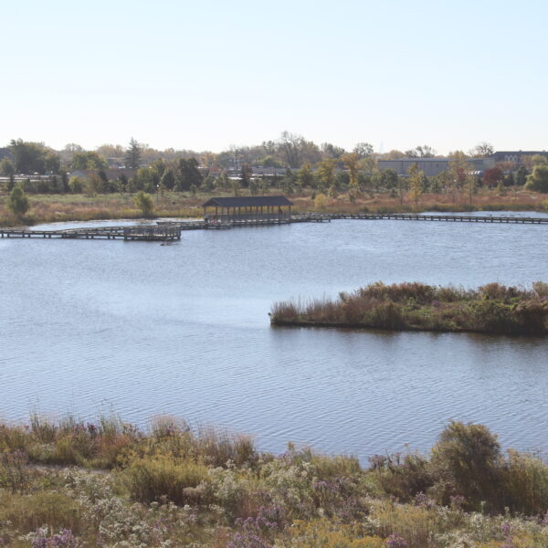 Pond with wooden paths and docs